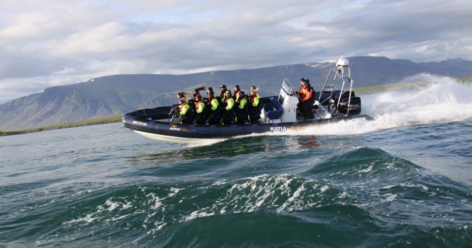 From Reykjavik: Whale Watching Tour by Speedboat - Safety and Equipment