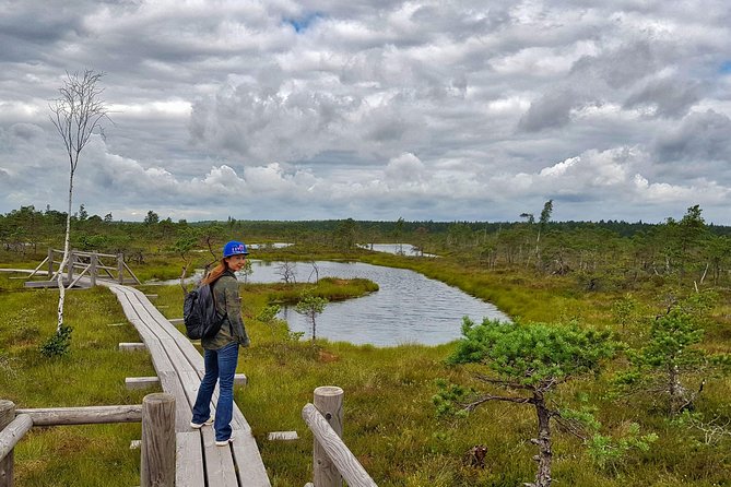 From Riga: Best of Kemeri National Park In One Day - Great Kemeri Bog Boardwalk