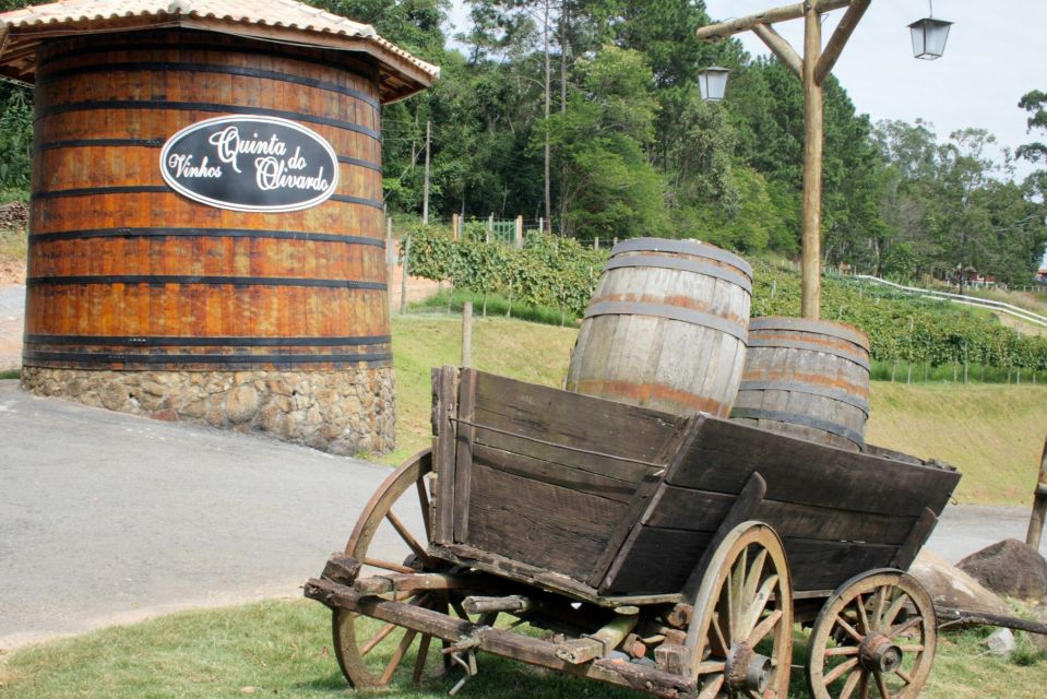 From São Paulo: São Roque Wineries Route and Shopping Tour - Tasting Experiences