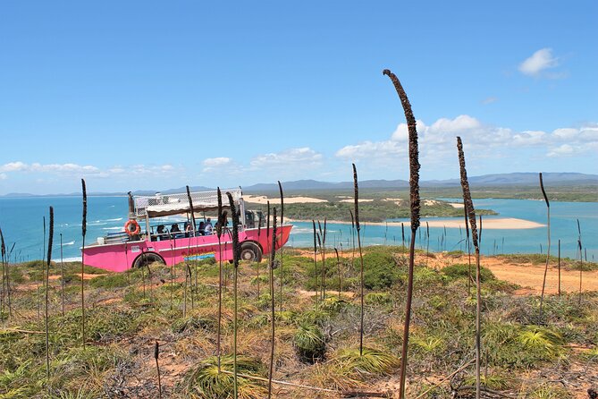 Full-Day 1770 Tour by LARC Amphibious Vehicle Including Sandboarding and Bustard Head Lightstation - Customer Reviews and Feedback