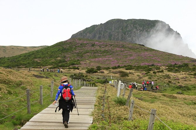 Full-Day Customizable Private Essential Jeju Island Tour for South Course - Accessibility Features