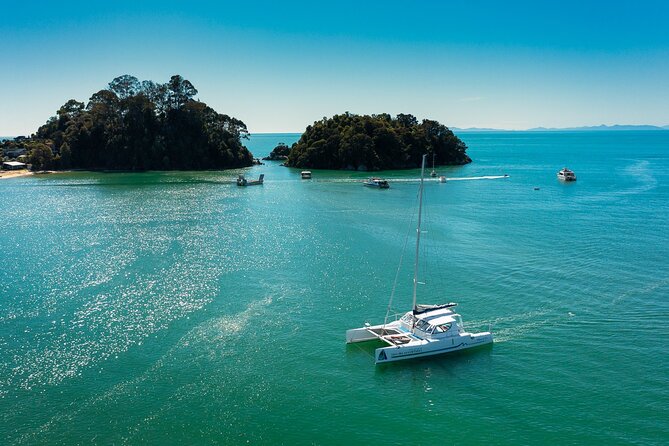 Full-Day Sailing Adventure in the Abel Tasman National Park - Reviews and Guest Experiences