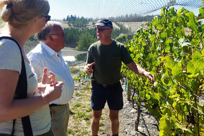 Full-Day Sommelier Guided Private Wine Tour of Central Otago - Booking Process