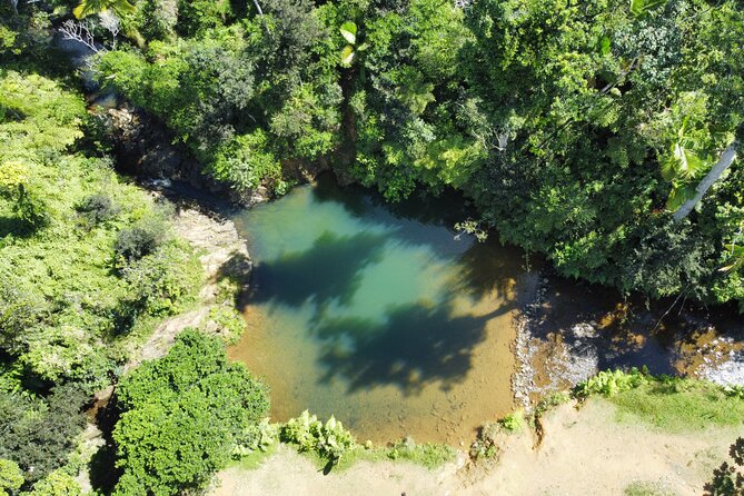 Full-Day Tour of Guavate and Charco Azul in Puerto Rico - Recommendations and Tips