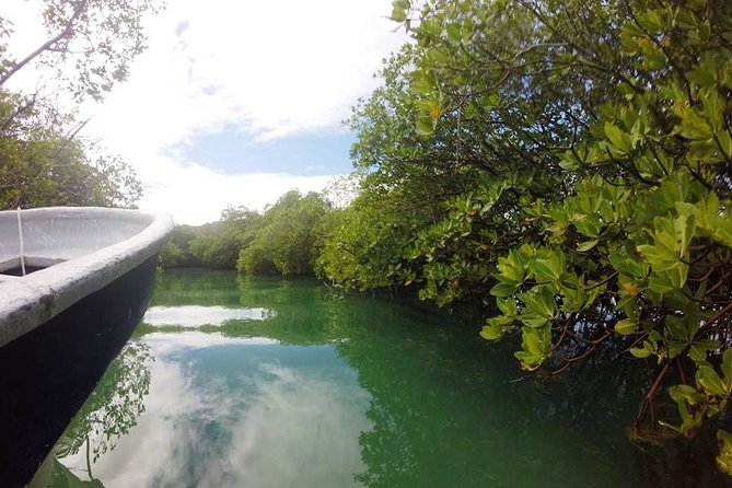 Full-Day Tour to Punta Rucia and Cayo Arena With Snorkeling - Important Considerations