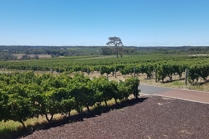 Full Day Winery and Brewery Tour in a Classic Silver Spirit Rolls Royce - Guest Experiences and Testimonials