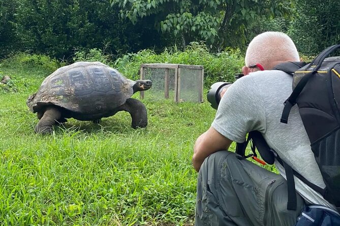 Giant Turtle Watching and Lava Tunnels Tour - Customer Reviews and Ratings