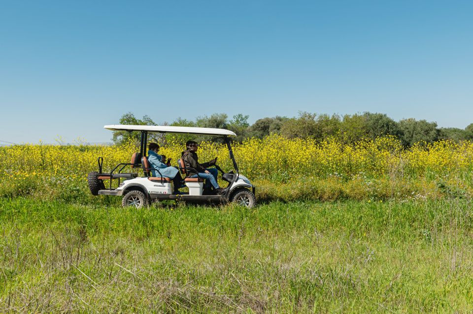 Golf Cart Tour and Aperitif in the Ancient Masseria - Inclusions of the Tour