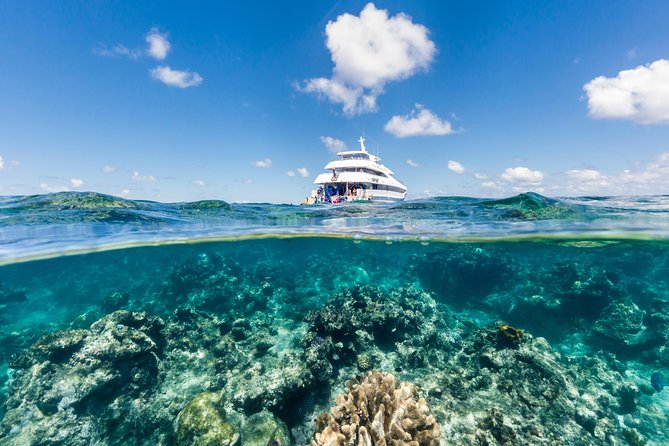 Great Barrier Reef Snorkeling and Diving Cruise From Cairns - Booking and Confirmation