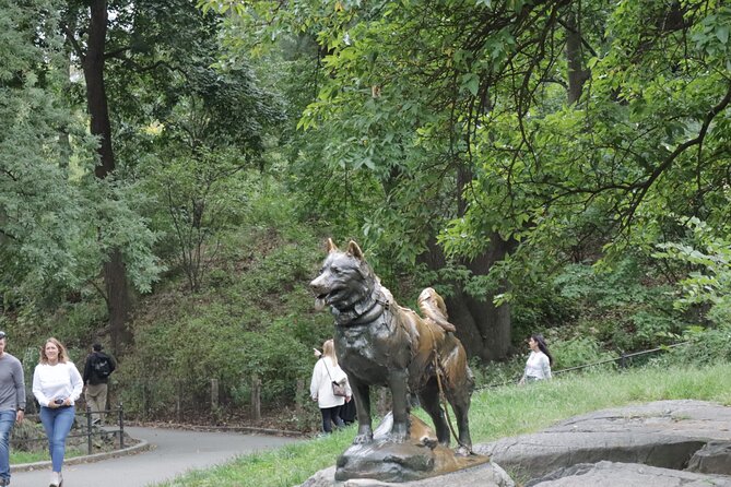 Guided Electric Scooter Tour of Central Park - Participant Experience