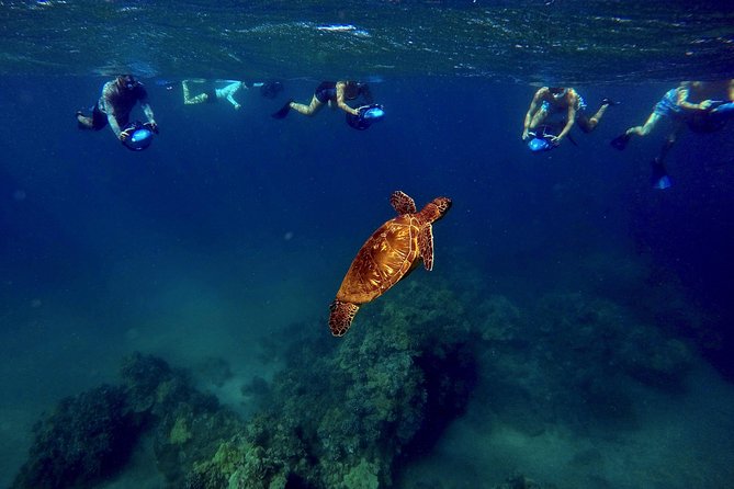 Guided Sea Scooter Snorkeling Tour Wailea Beach - Safety and Accessibility