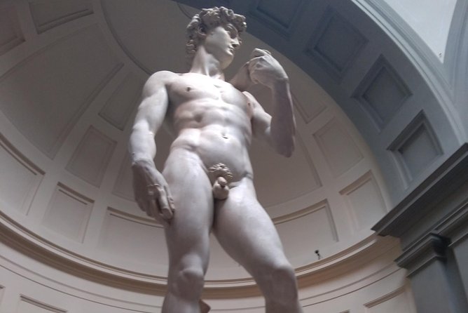 Guided Tour of the Accademia Gallery With Michelangelos David - Michelangelos David Features