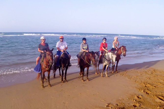 Half-Day Beach Horse Back Riding in Puerto Plata - Guest Reviews