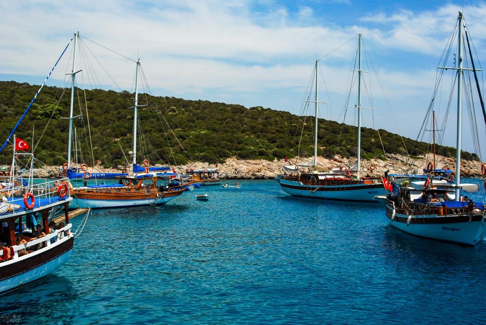 Half Day Bodrum (Halicarnasos) Tour by Car - Tips for Travelers