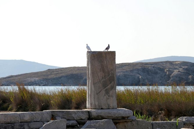 Half-Day Delos Tour From Mykonos - Recommended Preparations