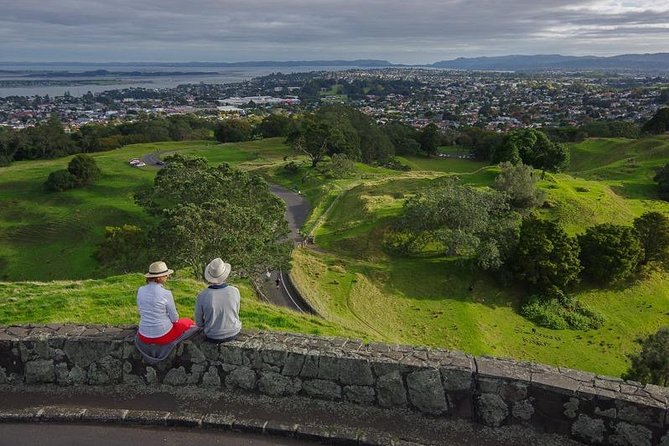 Half-Day Volcano Tour From Auckland - Reviews and Recommendations