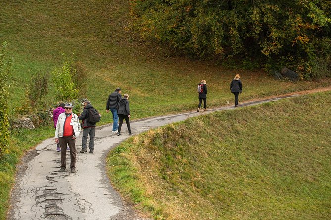 Heidiland and Liechtenstein Tour From Zurich - Traveler Experiences