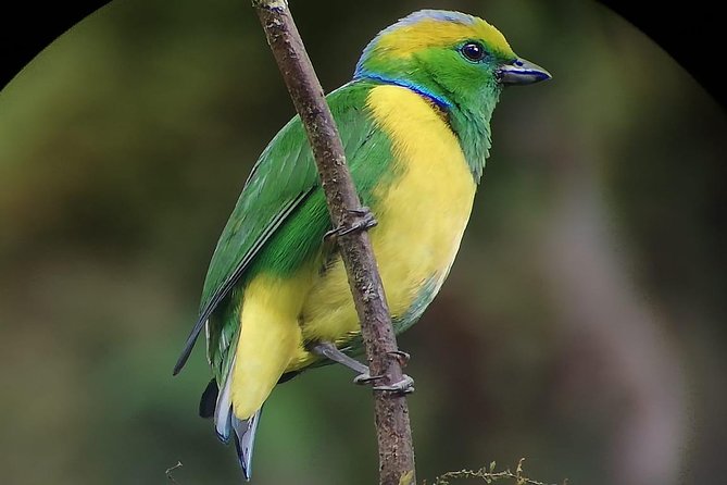 Hiking to Curi-Cancha Reserve - Wildlife and Nature Focus