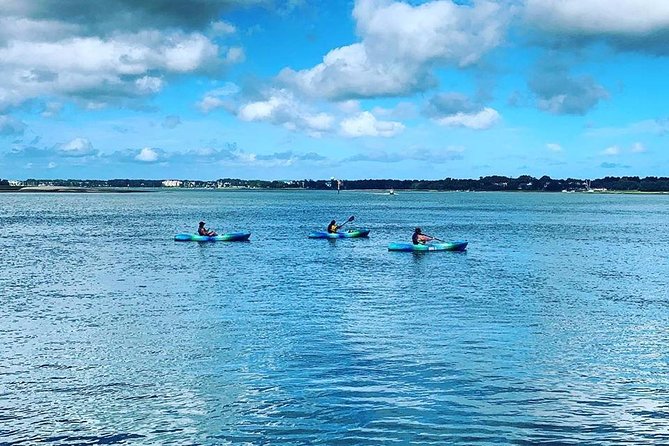 Hilton Head Guided Kayak Tour - Customer Ratings and Reviews