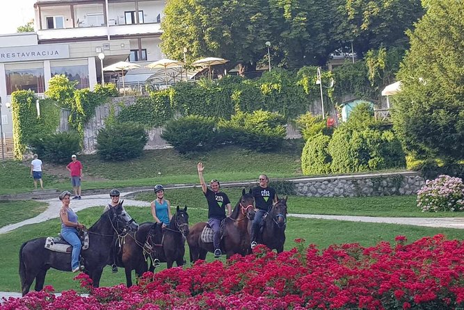 Horseback Riding In Bled - Skill Levels and Ride Customization