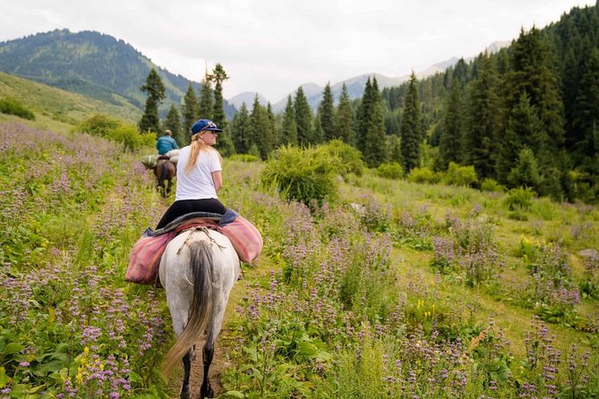 Horseback Riding on the Mountains of Chon Kemin National Park - Customer Experiences and Feedback