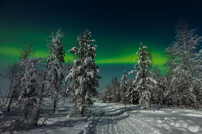 Hunting Northern Lights With Husky - Customer Feedback and Ratings