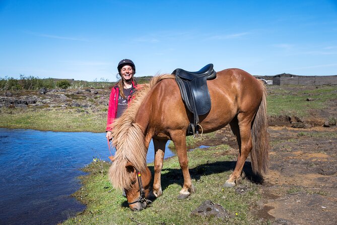 Icelandic Horse Riding and Whale Watching Tour From Reykjavik - Customer Feedback Highlights