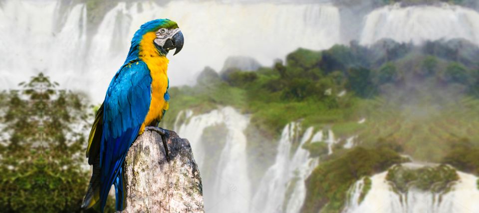 Iguazu Falls: 2-Day Argentinian and Brazilian Iguazu Falls - Jungle Train Experience