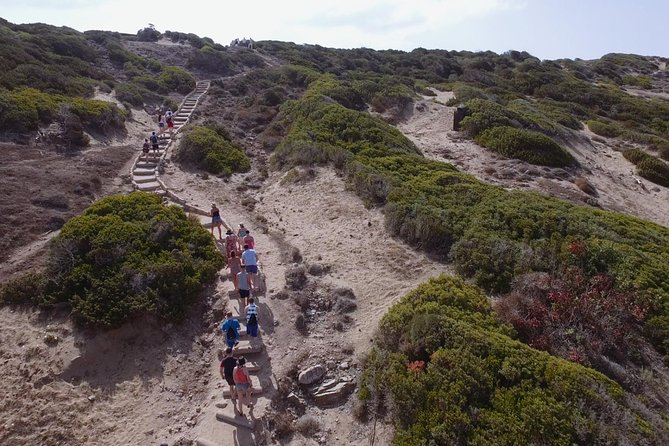 Jeep Safari Akamas Expedition From Paphos - Health and Safety Guidelines