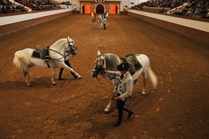 Jerez & Cadiz Winery With Tasting & Opt Horse Show From Seville - Customer Feedback and Ratings