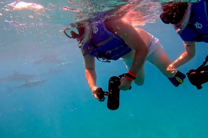 Jet Snorkeling in Turtle, Dolphin and Monk Seal Bay - Health and Safety Guidelines