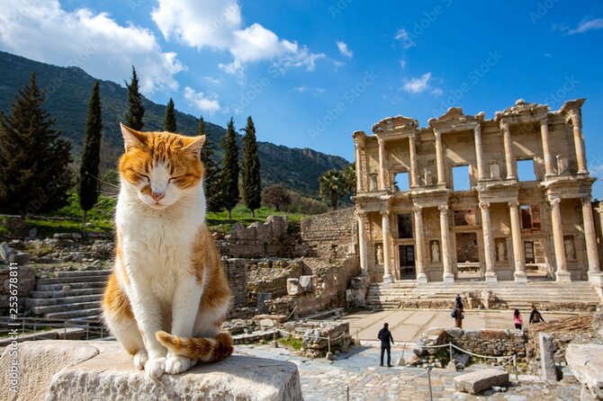 Journey to Ancient Wonders: Explore Ephesus With a Private Tour - Accessibility and Participation Details