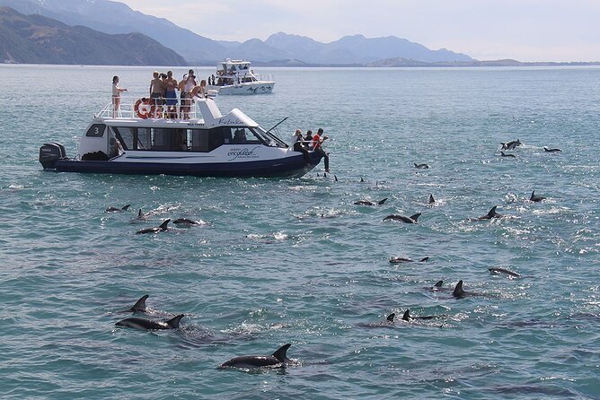 Kaikoura Day Tour With Dolphin Encounter From Christchurch - Local Cuisine and Beverages