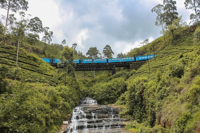 Kandy To Nuwaraeliya Scenic Train Ride and Nuwaraeliya City Tour And Drop Ella - Meeting and Pickup Details