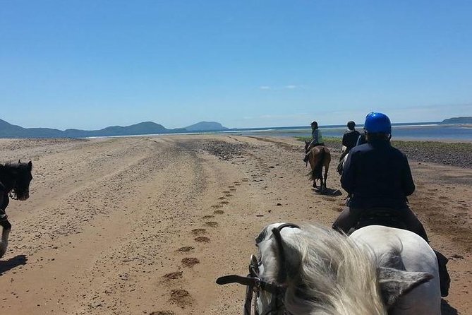 Killarney National Park Horseback Ride. Co Kerry. Guided. 2 Hours. - Preparation for the Ride