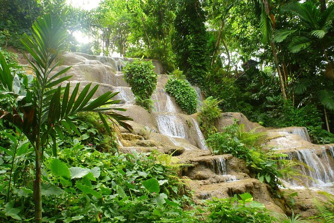 Konoko Falls,Fern Gully and Shopping - Tour Inclusions and Accessibility