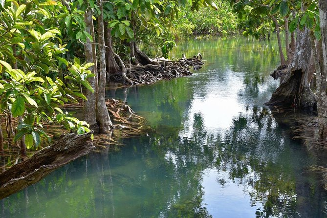 Krabi Countryside Eco Cycling Tour - Multiple Trails - Pickup Information and Logistics