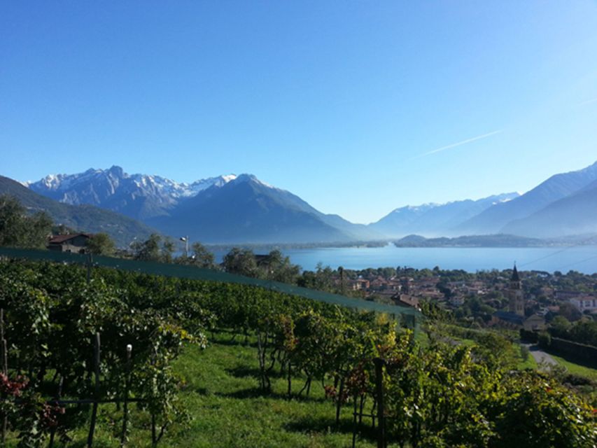 Lake Como: Winery Tour With Wine Tasting - Meeting Point