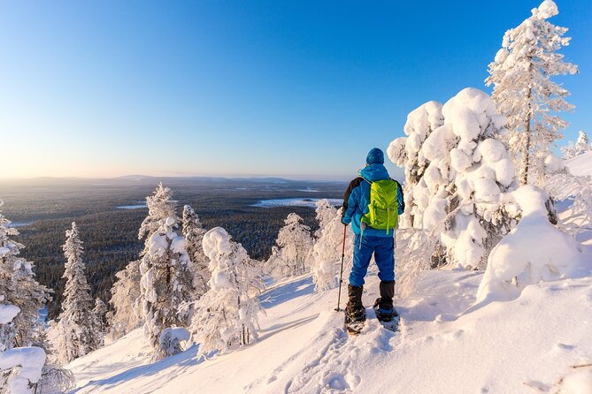 Lapland Winter Experience - Snowshoeing Adventure Details