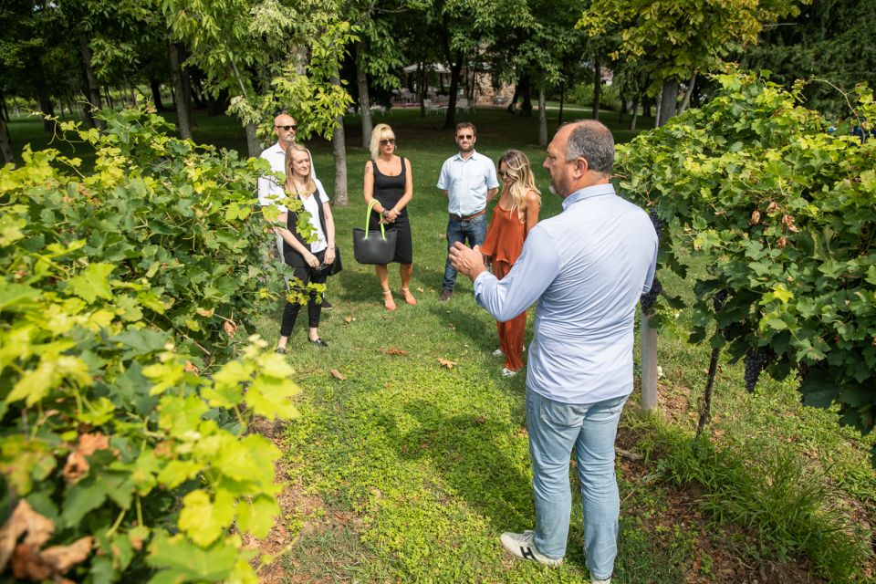 Lazise: Vineyard Tour and Organic Wine Tasting - Parking Information