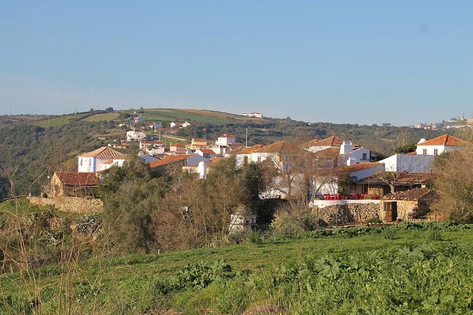 Lisbon Northern Region Wine Tasting Private Tour - Inclusions and Logistics