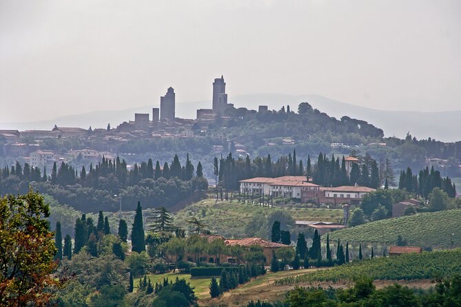 Livorno Shore Excursion: Private Day Trip to Siena and San Gimignano - Customer Reviews