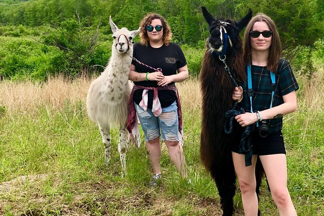 Llama/Alpaca Hike and Farm Tour - Accessibility Features