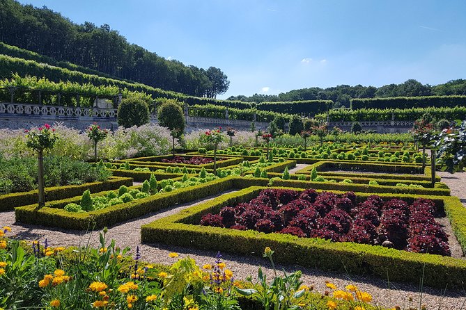 Loire Valley Half Day : Villandry and Azay-Le-Rideau From Tours - Accessibility Information