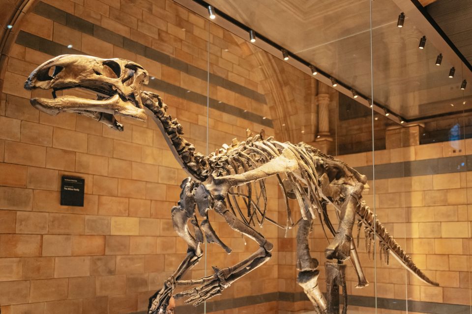 London: Natural History Museum Private Guided Family Tour - Meeting Point Information