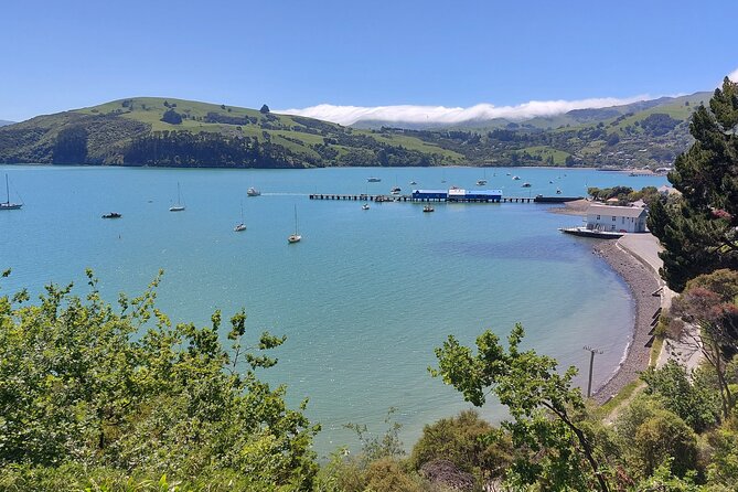 Lyttelton Shore Excursion: Twin Harbour Tour (Lyttelton & Akaroa) - Pricing and Booking Information