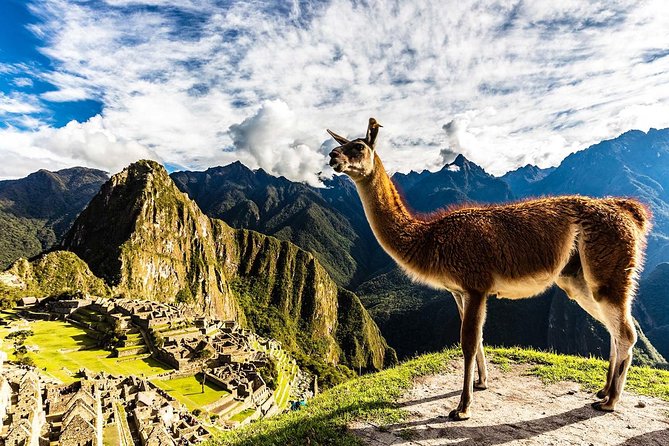 Machu Picchu Delight: Unforgettable Day Trip From Cusco - Important Travel Information