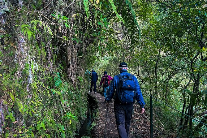 Madeira Levada Walk - Caldeirao Verde - Physical Requirements and Safety