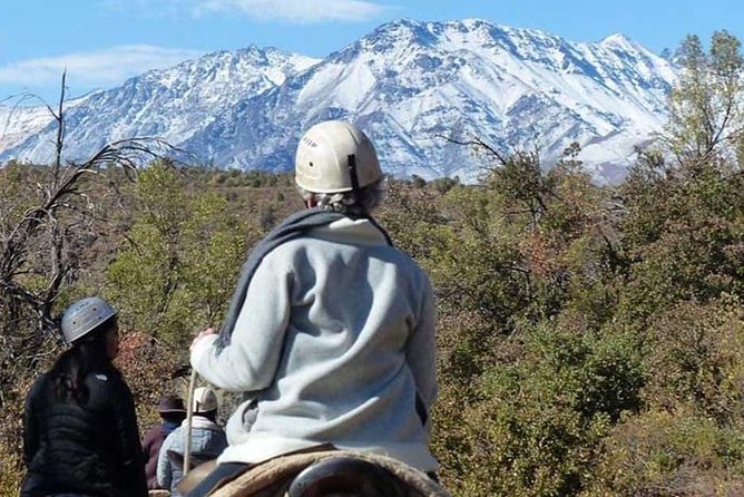 Maipo Canyon: Andes Mountains Horseback Ride and Wine Tour & Tasting - Customer Reviews