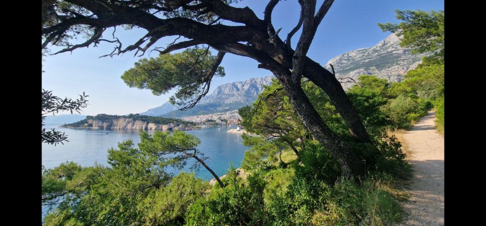 Makarska: Scenic Coastal Hike & Swim Tour - Local Culture Insights